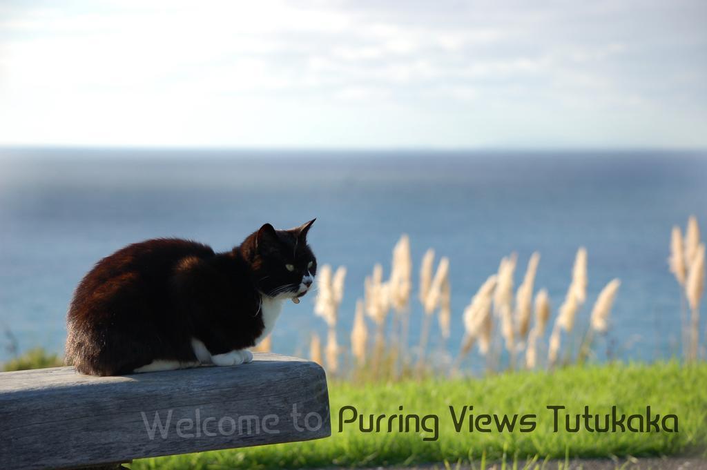 Ocean Purring Views Hotel Tutukaka Ngoại thất bức ảnh